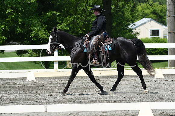 HSM_2884