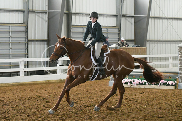 HSM_4413