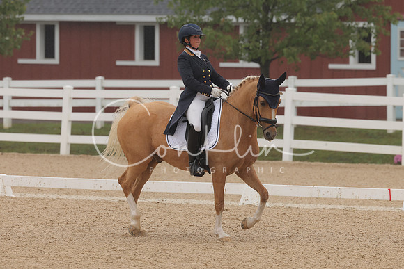 HLK_0696