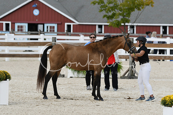 HSM_5394