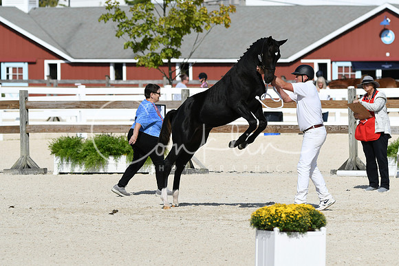 HSM_5134