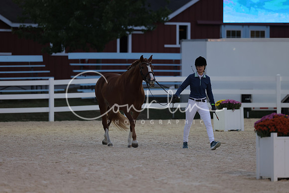 HLK_2449