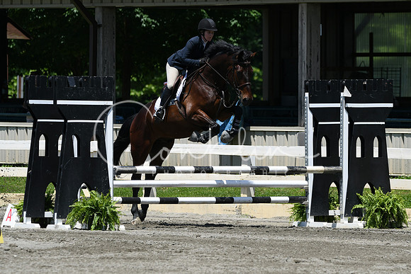 HSM_3162