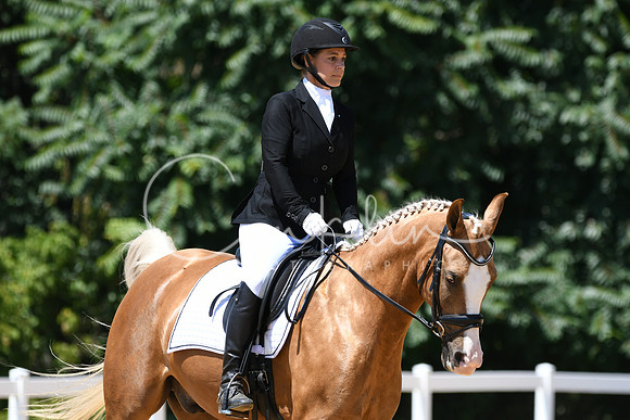 HSM_1379