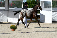 HSM_4382