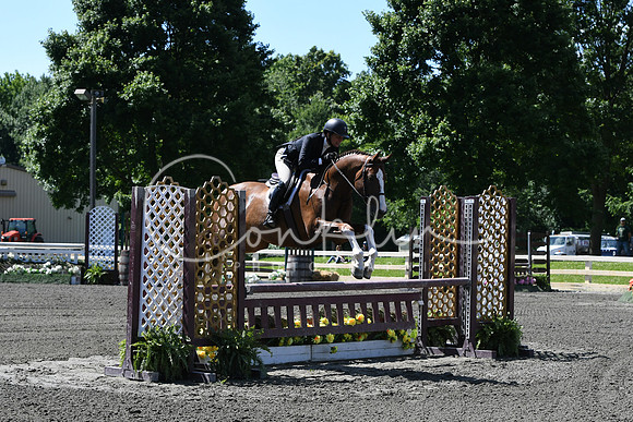HSM_8645