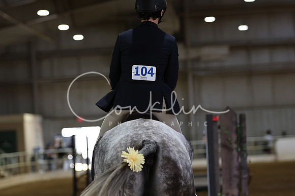 RJC31295-