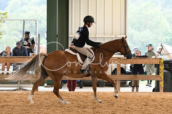 HSM_5869