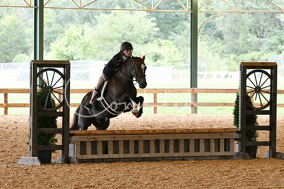 HSM_1244-1