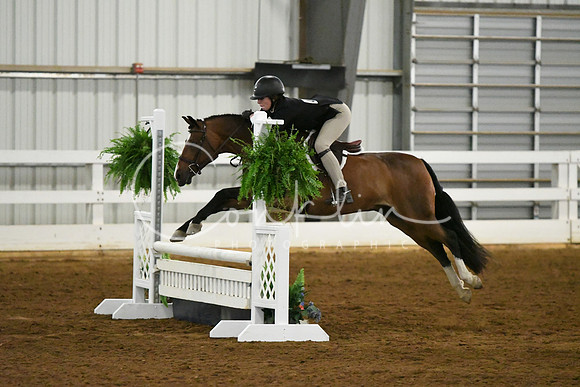 HSM_5619