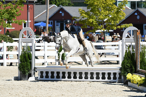 HSM_2890