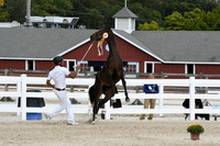 HSM_6191