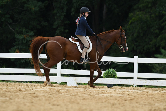 HSM_0031