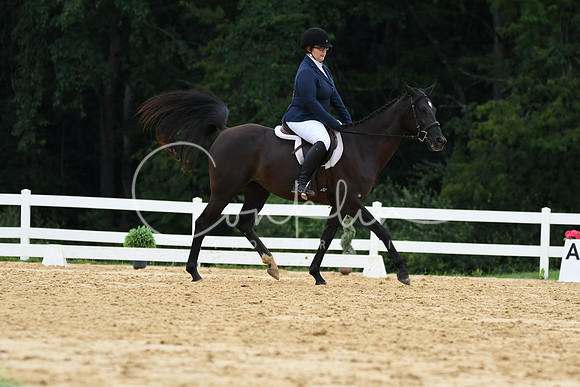 HSM_0203