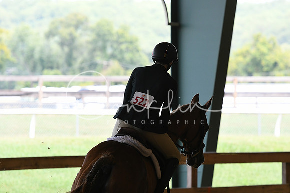 HSM_2792
