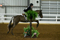 HSM_4809