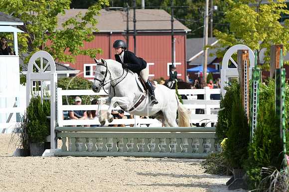 HSM_6151