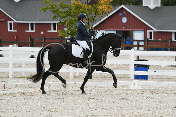HSM_0636