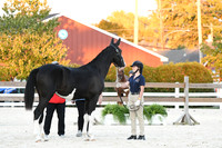 HSM_5693