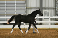 HSM_3623