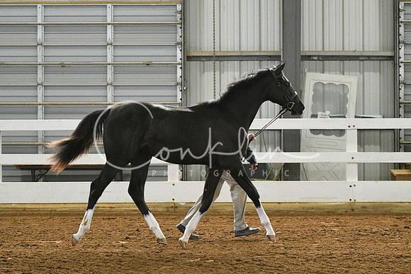 HSM_3623