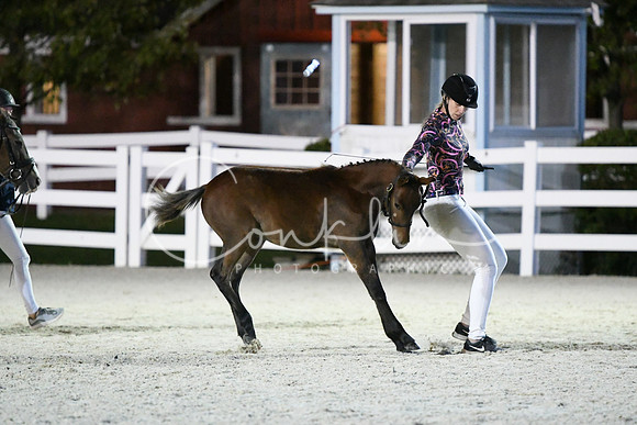 HSM_5831