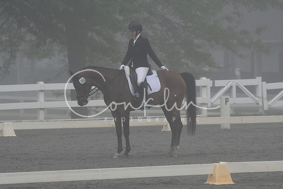 HSM_0733