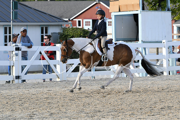 HSM_4585