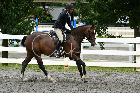 HSM_4171