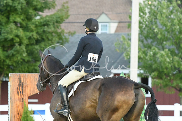 HSM_0499