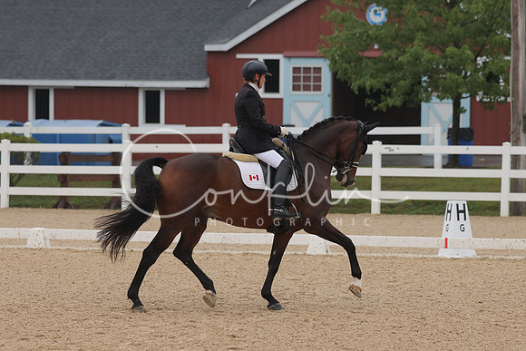 HLK_0208