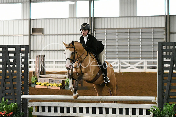 HSM_4508