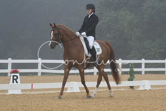 HSM_0719