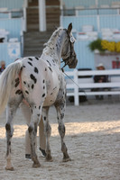 RJC36110