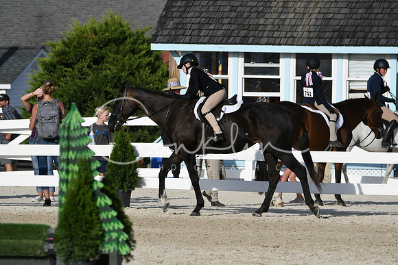 HSM_4346