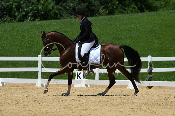 HSM_1529