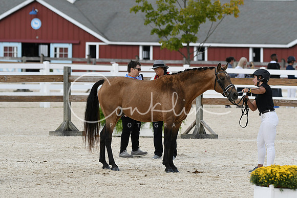 HSM_5396
