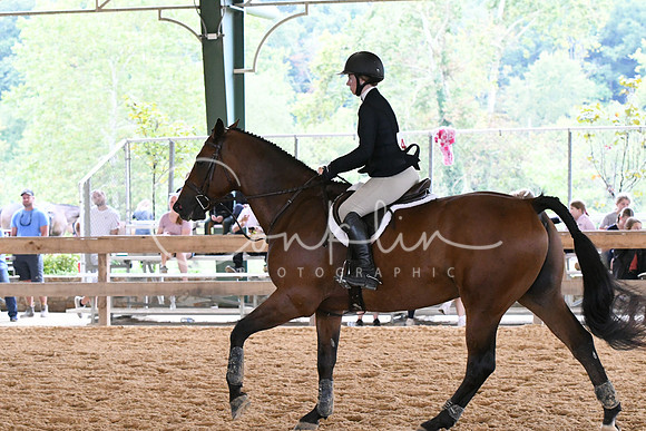 HSM_2652