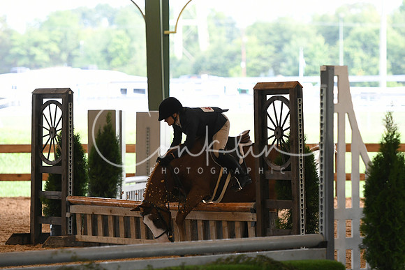 HSM_0974