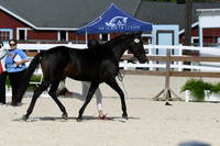 HSM_5167
