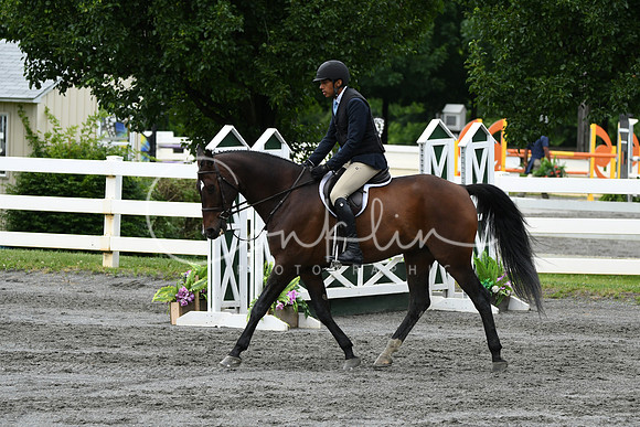HSM_4084