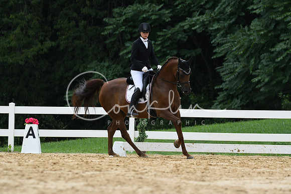 HSM_9908
