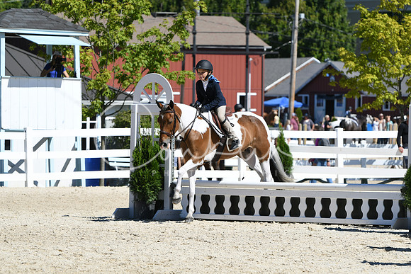 HSM_2797