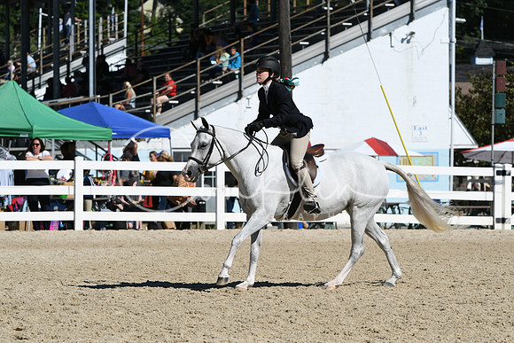 HSM_2619