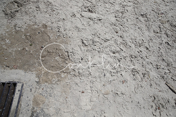 SRCX6896