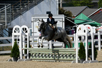 HSM_9620