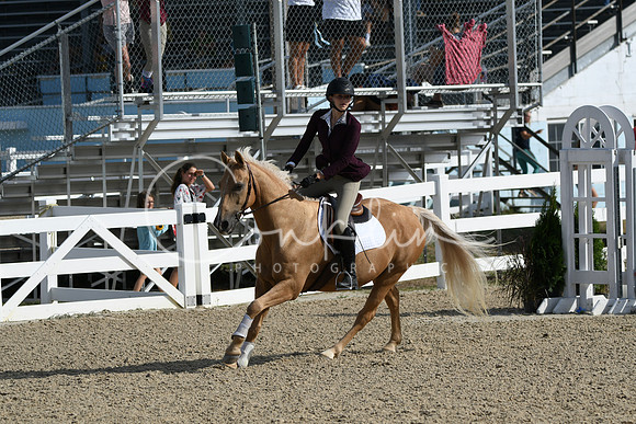 HSM_1673