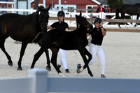 HSM_5282