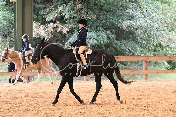 HSM_4478