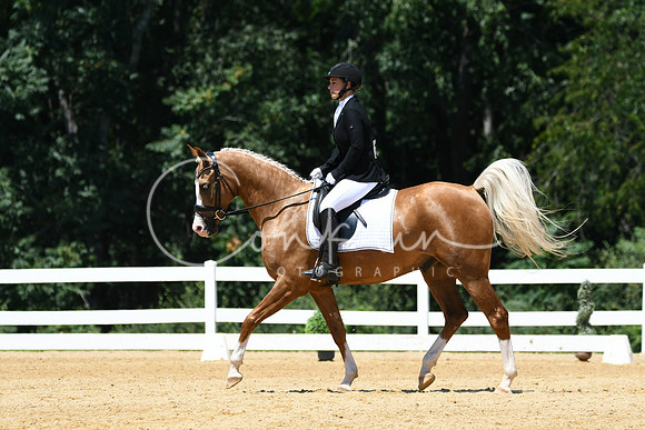 HSM_1378